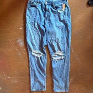 American Eagle Outfitters Blue Ripped Skinny Jeans